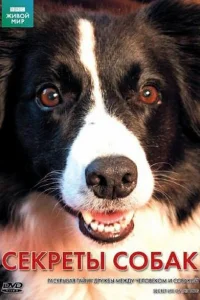  BBC: Секреты собак 